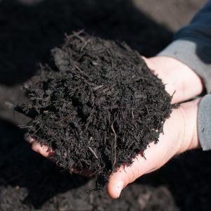 Black Dyed Mulch