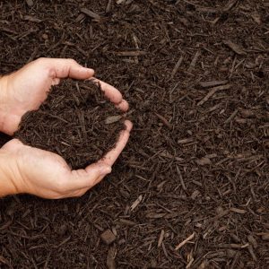 Brown Dyed Mulch