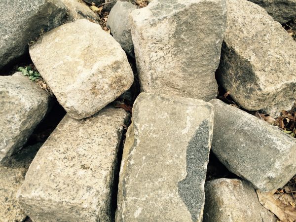Pile of large, rough-textured gray and brown stones with dried leaves and small plants, photographed outdoors in Long Island, NY.